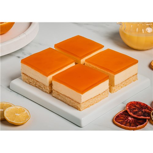 1-179 Tropical Sponge Cheesecake Tray (GF)_HR